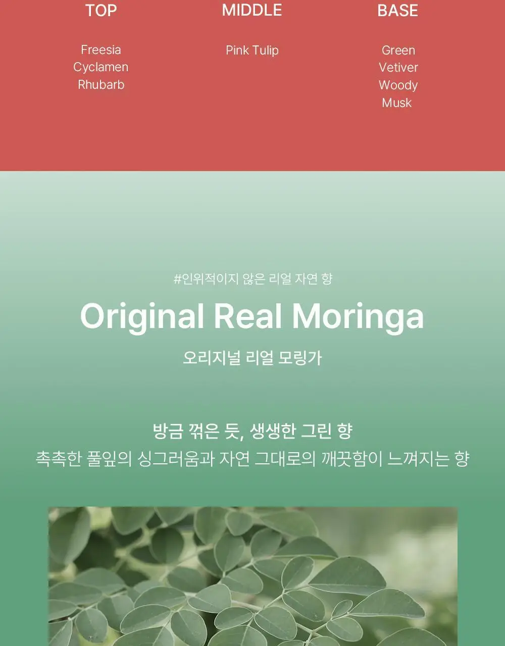 [향기폭탄] 말콤 약산성 알러지프리 바디워시 520ml(5가지향) 상세페이지 13